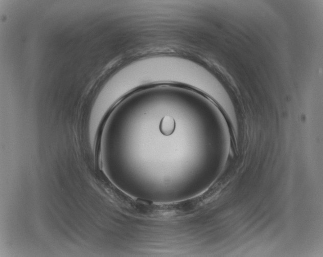 X0000080710260200612151141