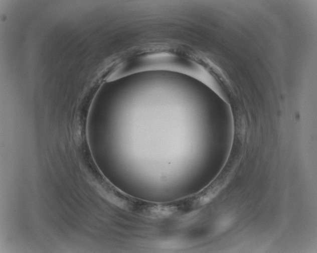 X0000080710261200612151141