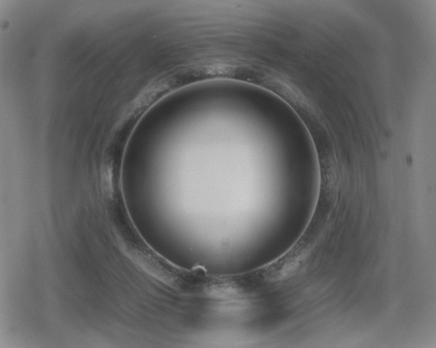 X0000080710262200612151141