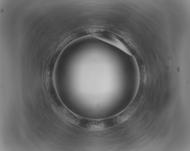 X0000080710263200612151141