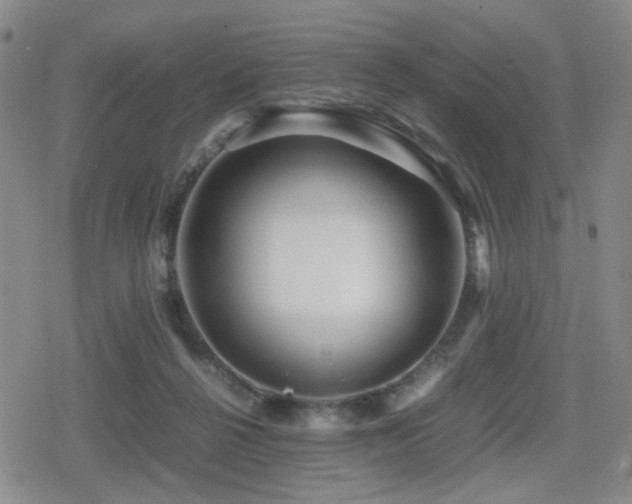 X0000080710264200612151141