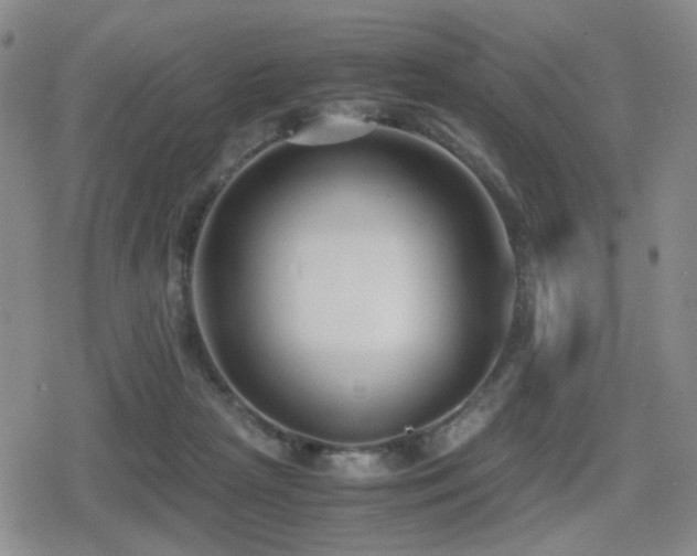 X0000080710265200612151141