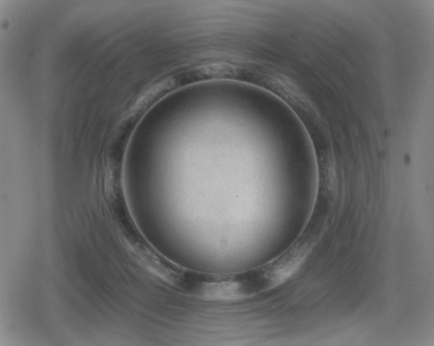 X0000080710266200612151141