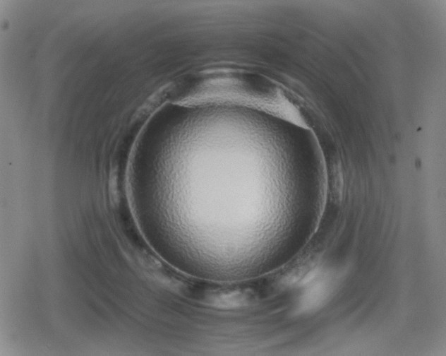 X0000080710267200612151141