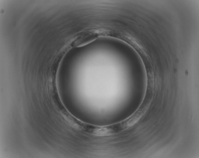 X0000080710269200612151141