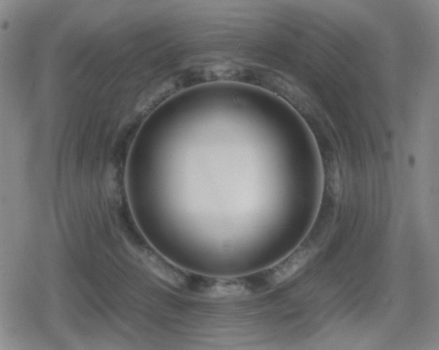 X0000080710270200612151141