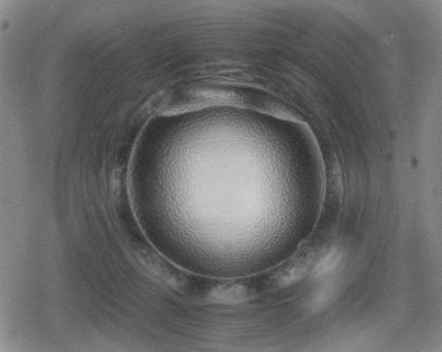 X0000080710271200612151141