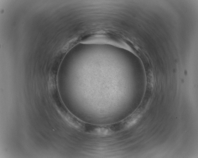 X0000080710272200612151141