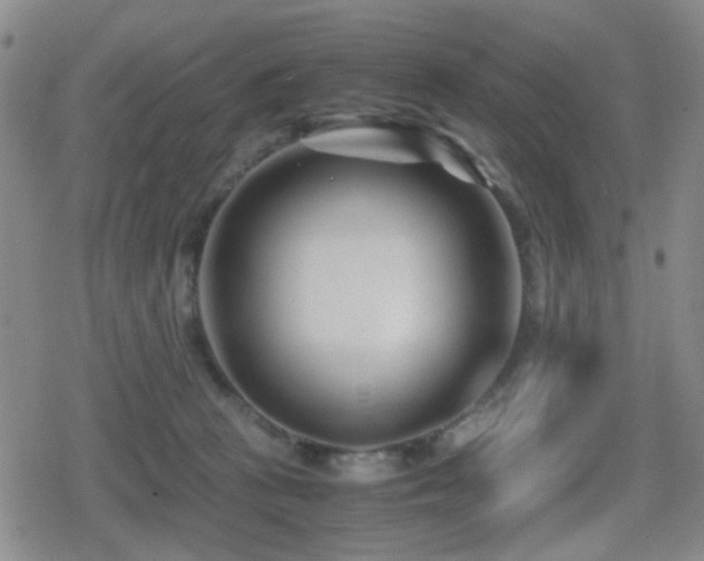 X0000080710273200612151141