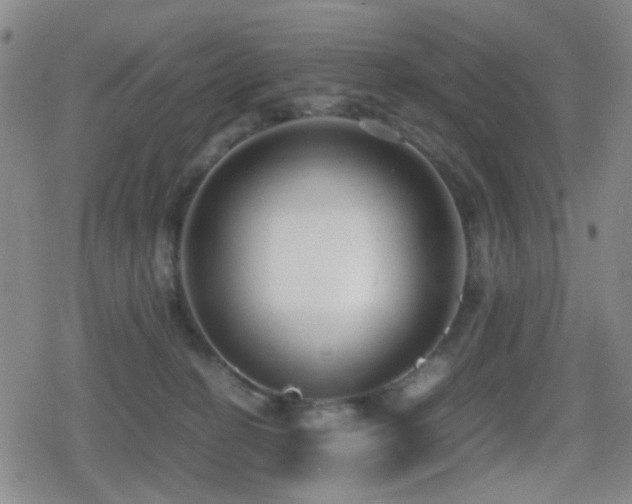 X0000080710274200612151141