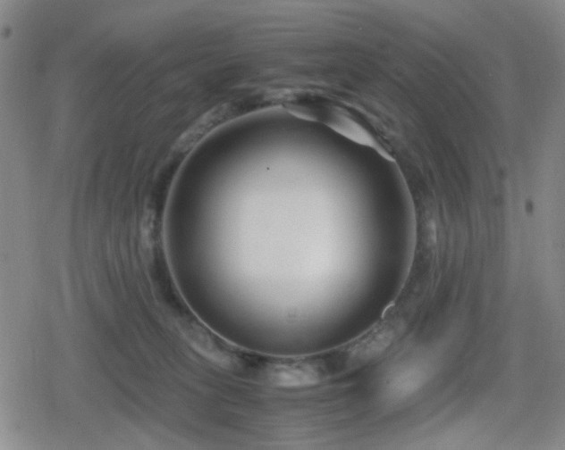 X0000080710275200612151141