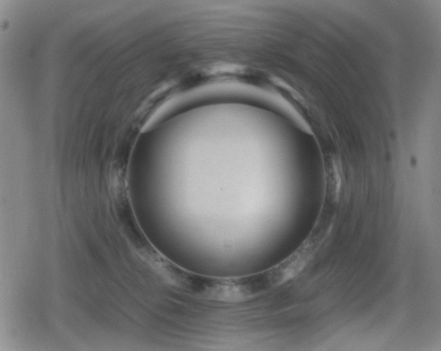 X0000080710276200612151141