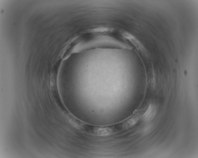 X0000080710277200612151141