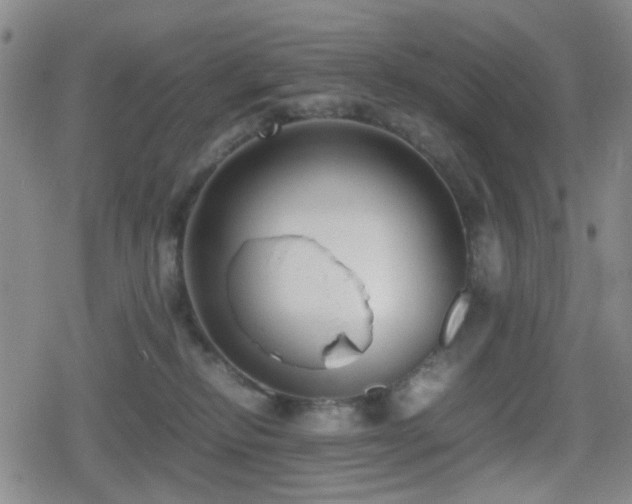 X0000080710278200612151141