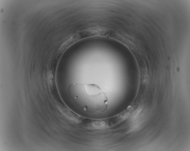 X0000080710279200612151141