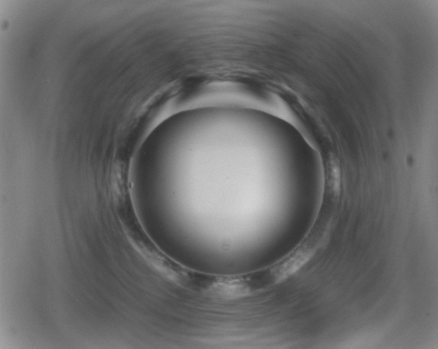 X0000080710280200612151141