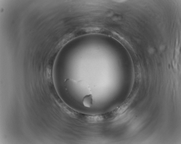 X0000080710281200612151141