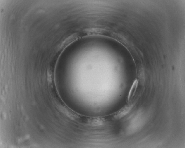 X0000080710282200612151141