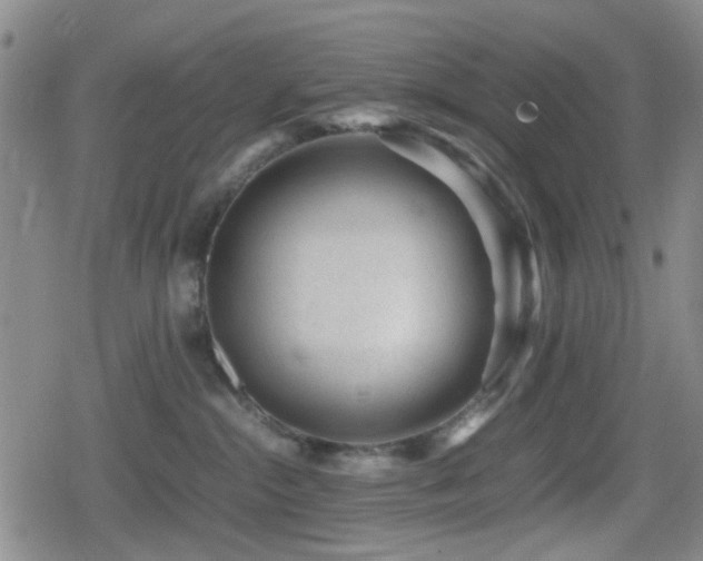 X0000080710284200612151141