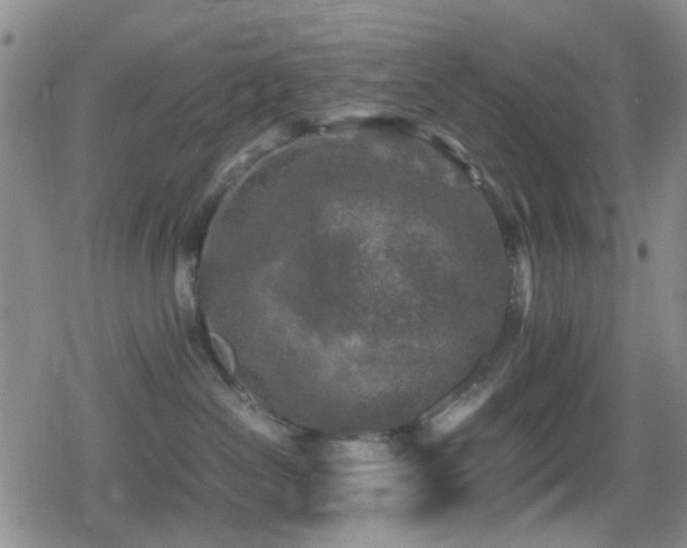 X0000080710286200612151141