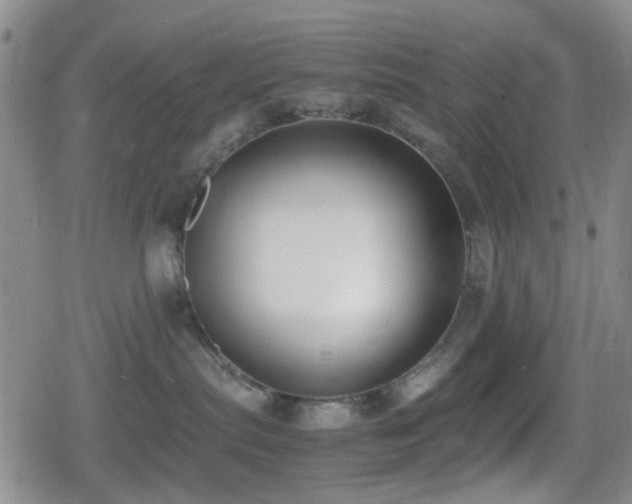 X0000080710287200612151141