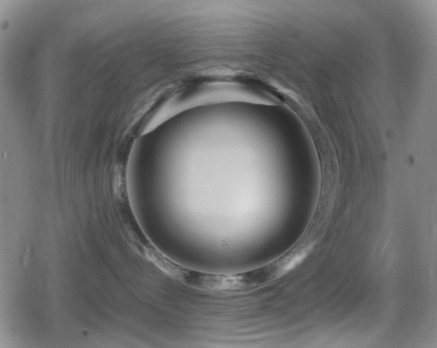 X0000080710288200612151141