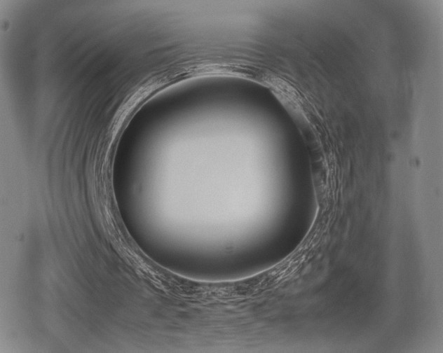 X0000080710289200612151141