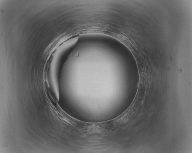 X0000080710290200612151141