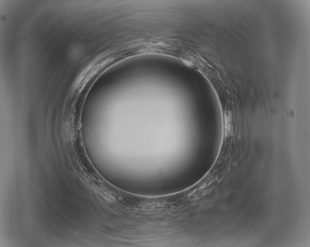 X0000080710291200612151141