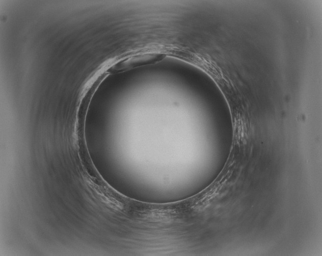 X0000080710292200612151141