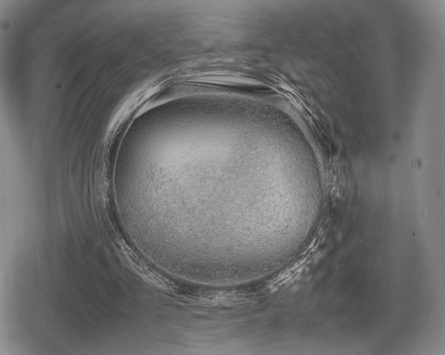 X0000080710293200612151141