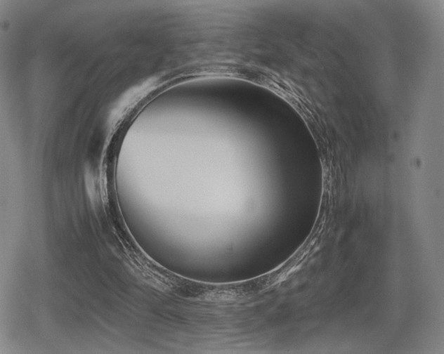 X0000080710294200612151141