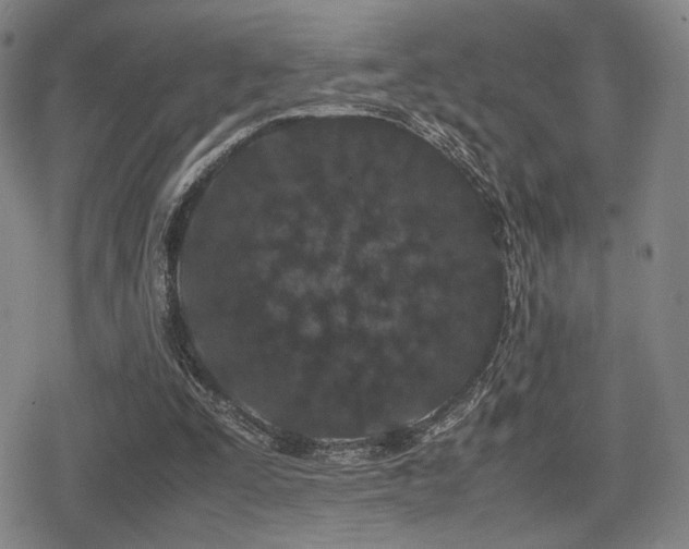 X0000080710295200612151141