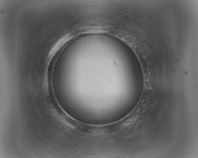 X0000080710296200612151141