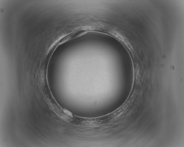 X0000080710297200612151141