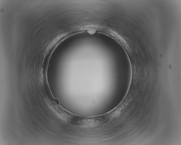 X0000080710298200612151141