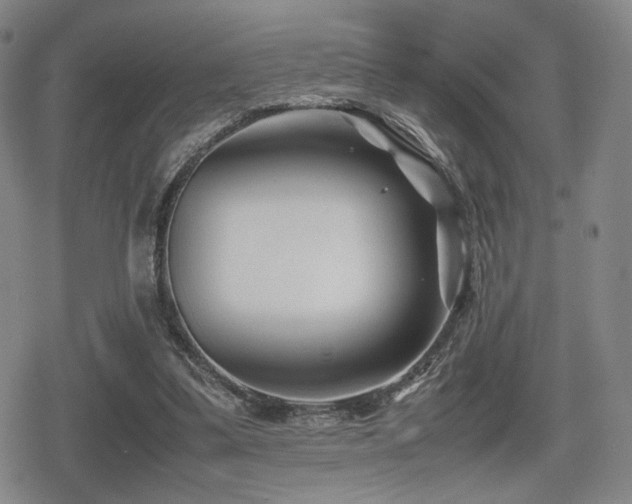 X0000080710299200612151140