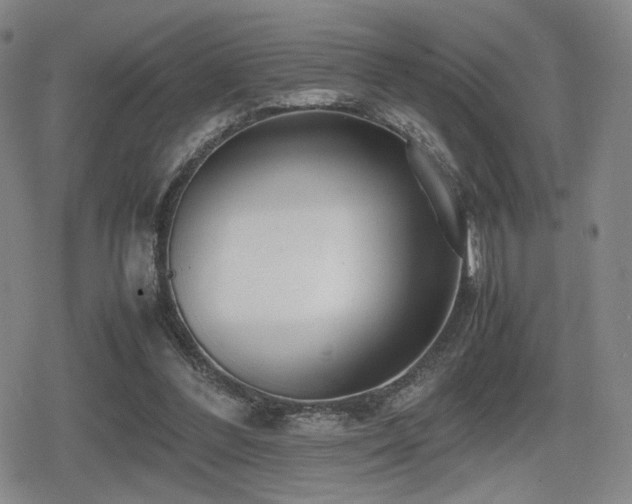 X0000080710300200612151140