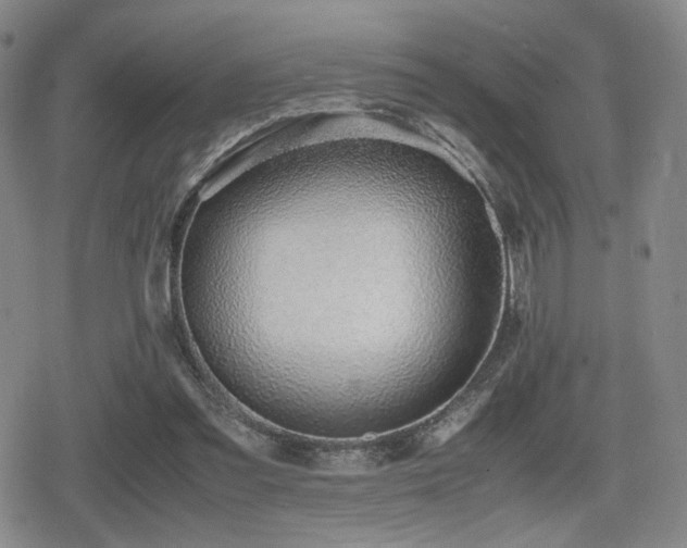 X0000080710301200612151140