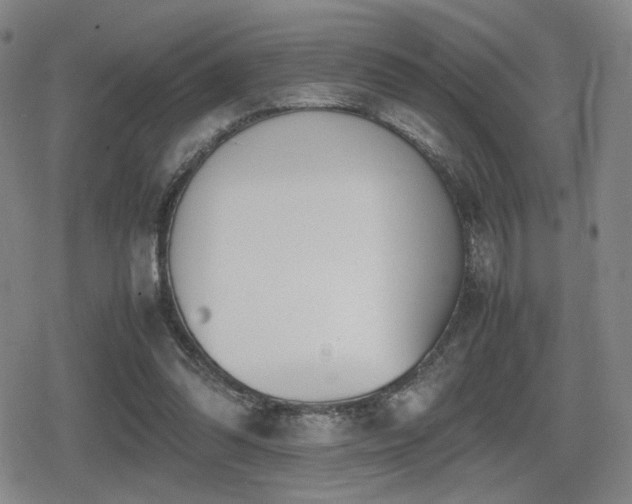 X0000080710302200612151140