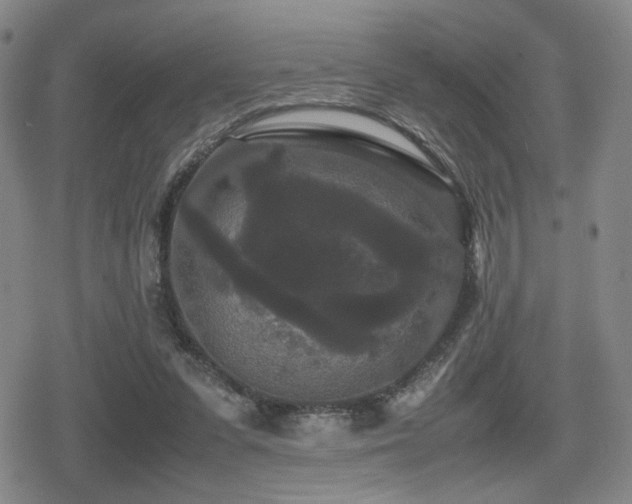 X0000080710303200612151140