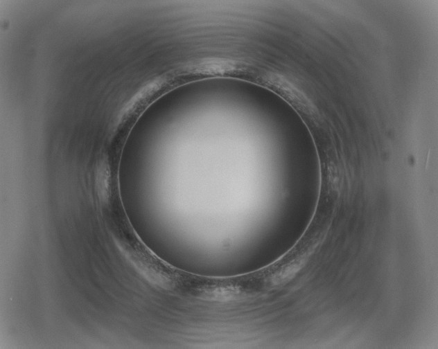 X0000080710304200612151140