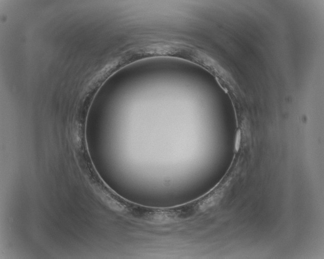 X0000080710305200612151140