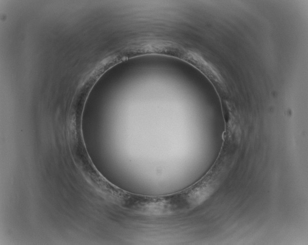 X0000080710306200612151140