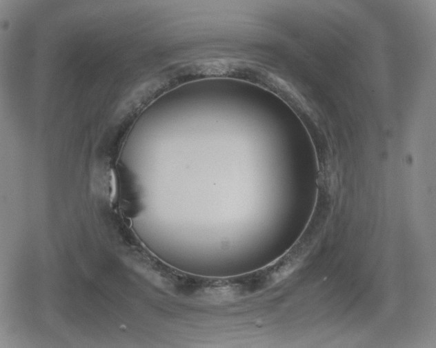 X0000080710307200612151140