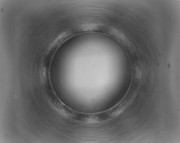 X0000080710308200612151140