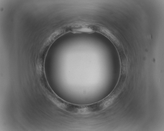 X0000080710309200612151140