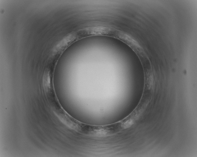 X0000080710310200612151140