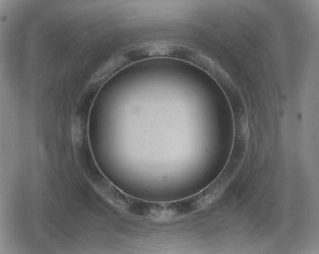 X0000080710311200612151140