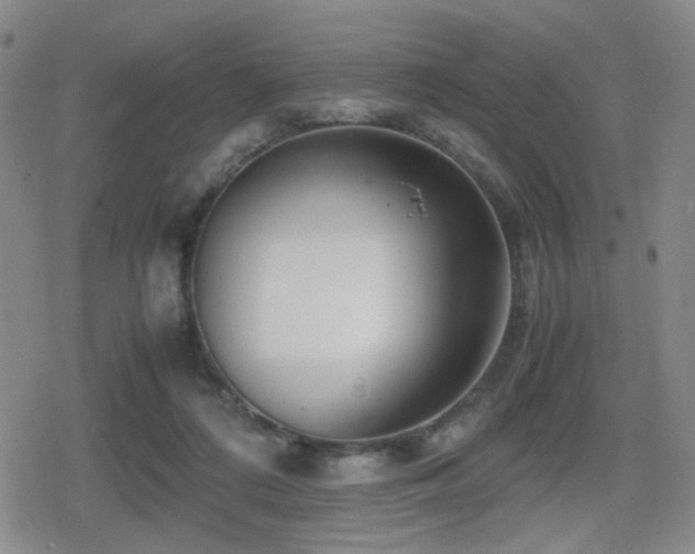 X0000080710312200612151140